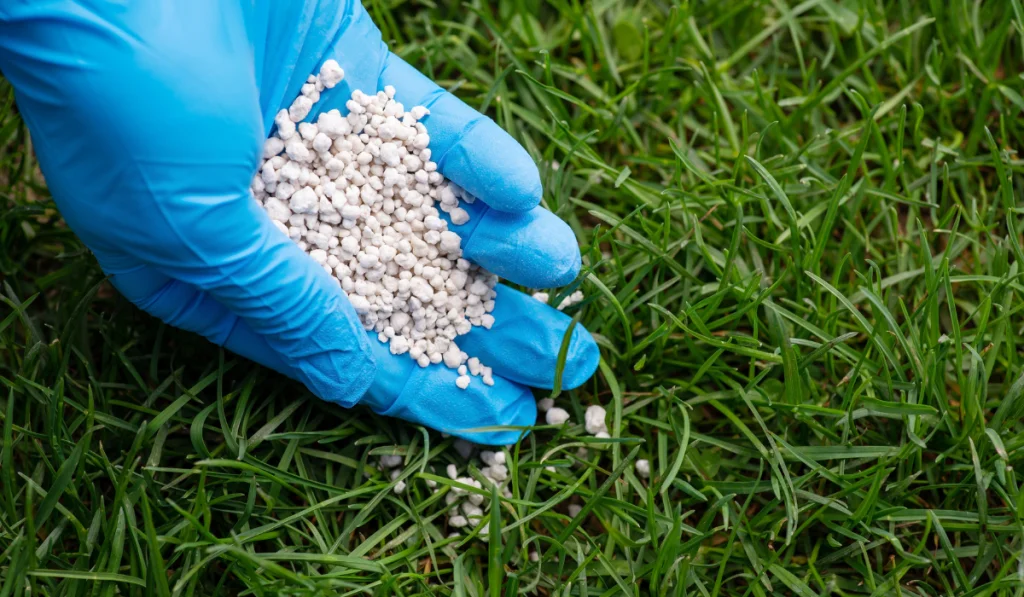 lawn-fertilizer